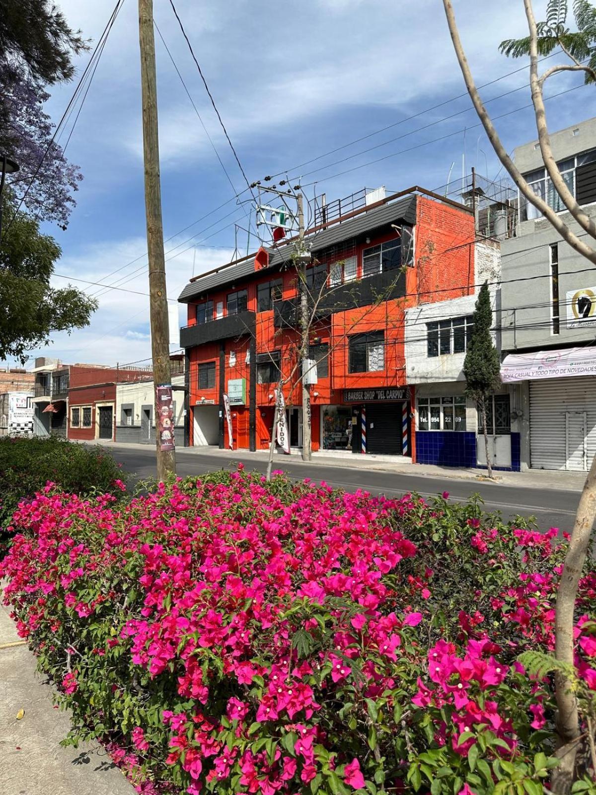 Hotel Posada Jardin Aguascalientes Extérieur photo